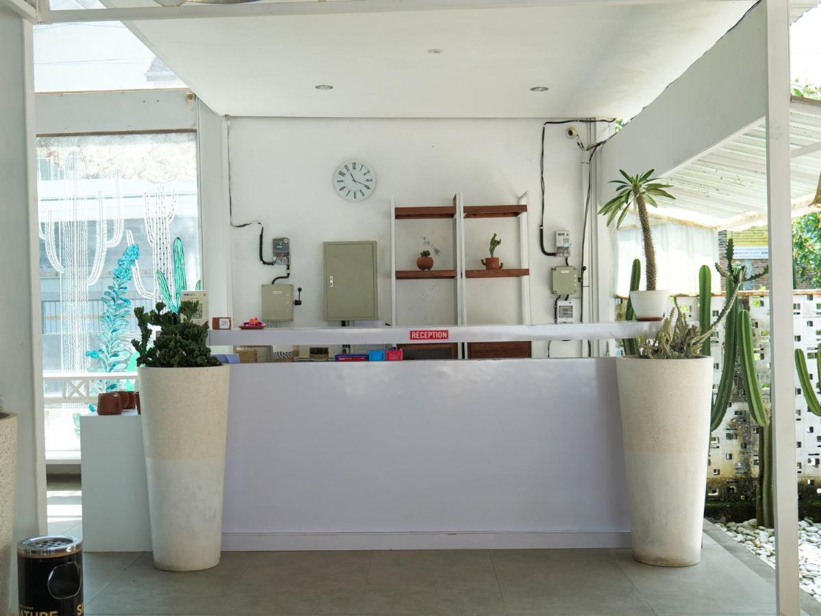 Cactus Guest House Borobudur Magelang Exterior photo